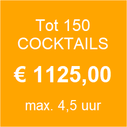 Cocktailbar op locatie oss